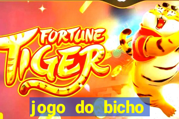 jogo do bicho banca ouro verde